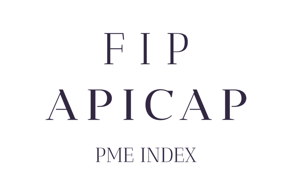 APICAP PME INDEX logo
